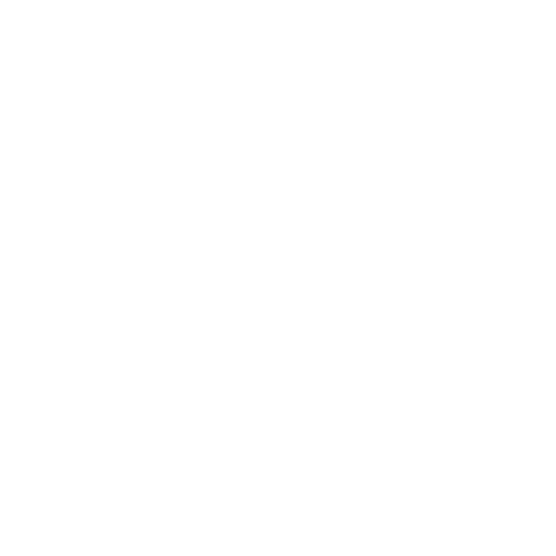 Boxing Influencer